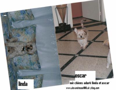 $$$$$$$LINDA & OSCAR$$$$$$$$