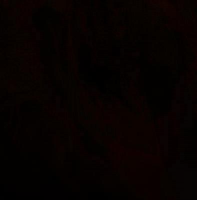 ??????????????
